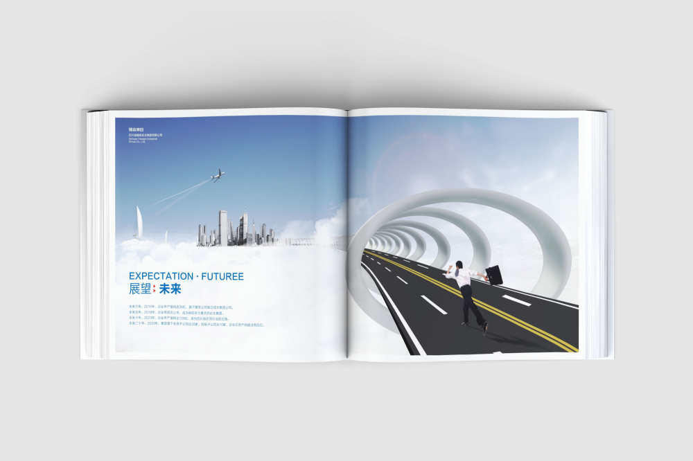 抚宁县画册设计